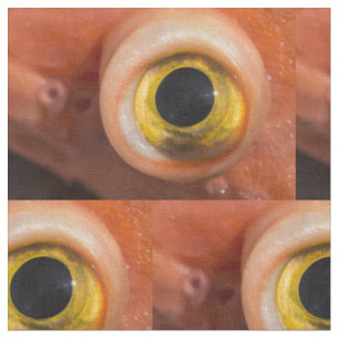 Rockfish Eye Fabric