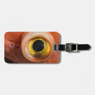 Rockfish Eye Luggage Tag