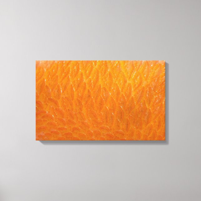 Rockfish Skin Canvas Print (Front)