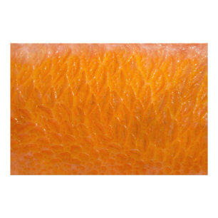 Rockfish Skin Photo Print