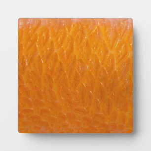 Rockfish Skin Plaque