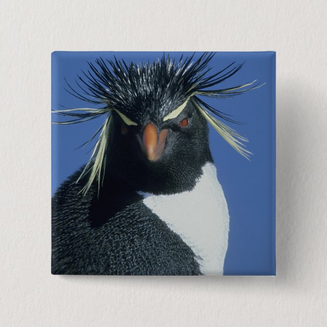 Rockhopper Penguin (Eudyptes chrysocome) 2 Inch Square Button (Front)
