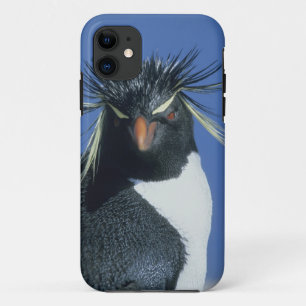 Rockhopper Penguin (Eudyptes chrysocome) iPhone 11 Case