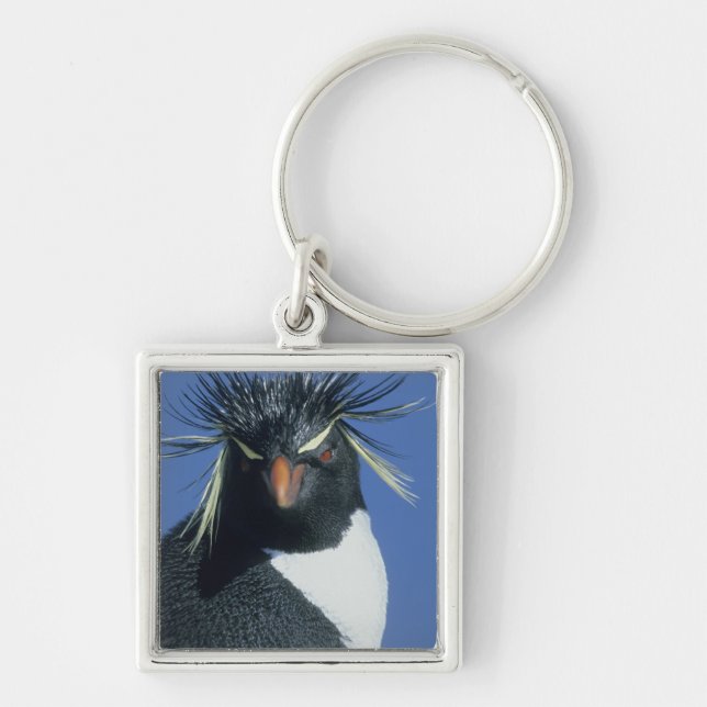 Rockhopper Penguin (Eudyptes chrysocome) Keychain (Front)