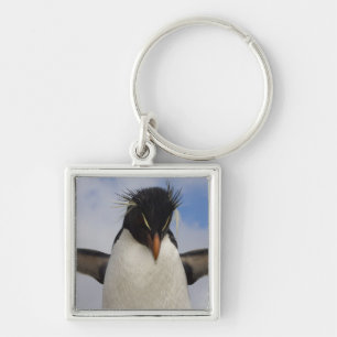 Rockhopper Penguin Eudyptes chrysocome Keychain