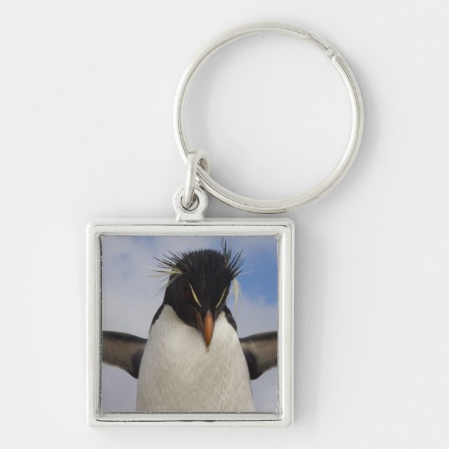 Rockhopper Penguin Eudyptes chrysocome Keychain (Front)