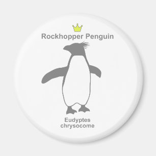 Rockhopper Penguin g5 Magnet