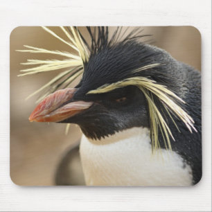 Rockhopper Penguin  Mouse Pad