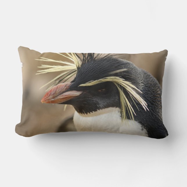 Rockhopper Penguin  Pillow (Front)