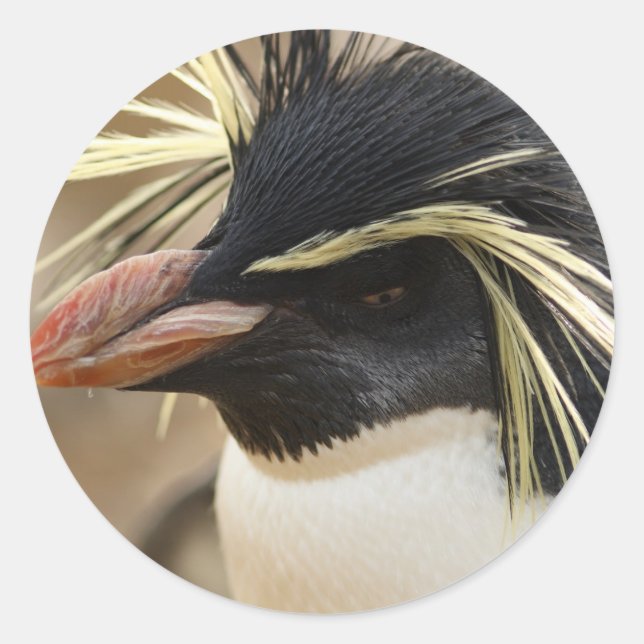 Rockhopper Penguin  Stickers (Front)