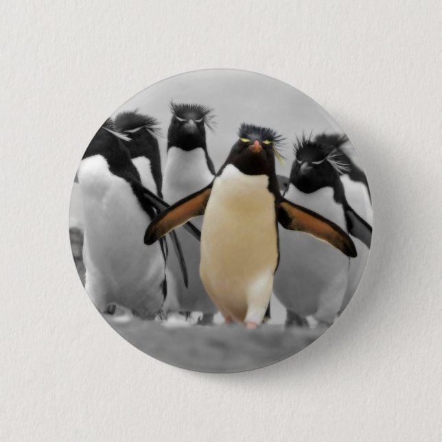 Rockhopper Penguins 2 Inch Round Button (Front)
