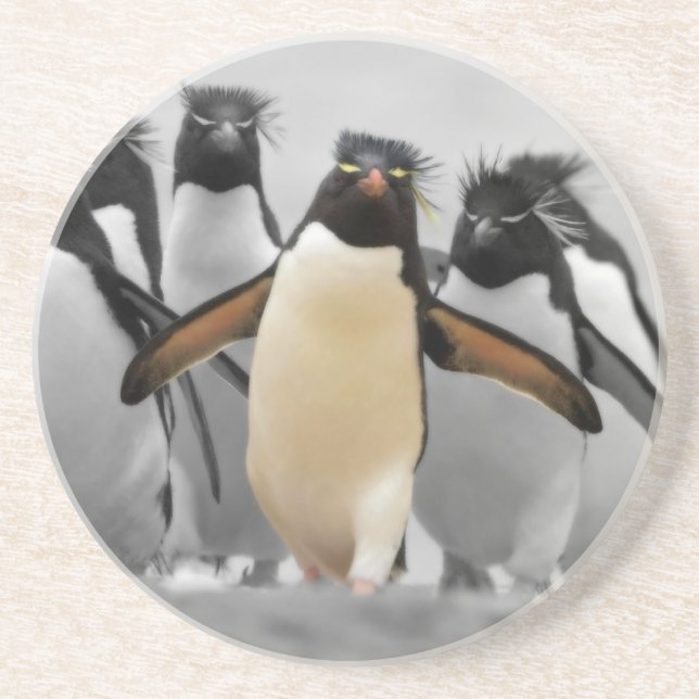 Rockhopper Penguins Coaster (Front)