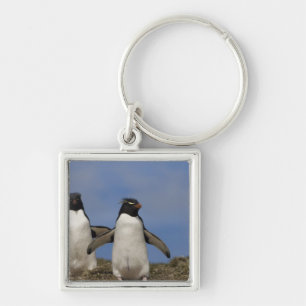 Rockhopper Penguins Eudyptes chrysocome Keychain