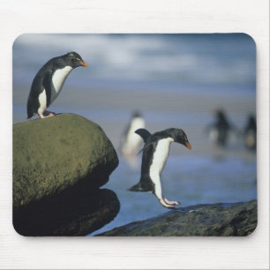 Rockhopper Penguins, Eudyptes chrysocome), Mouse Pad