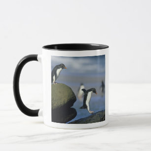 Rockhopper Penguins, Eudyptes chrysocome), Mug