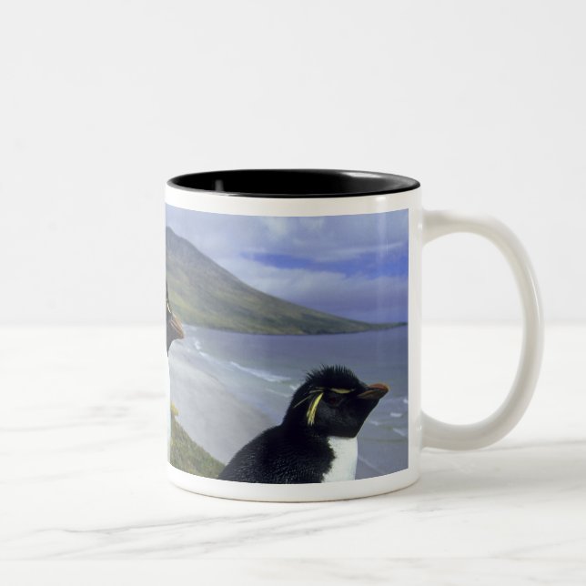 Rockhopper Penguins, (Eudyptes chrysocome), Two-Tone Coffee Mug (Right)