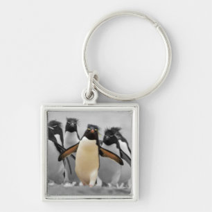 Rockhopper Penguins Keychain