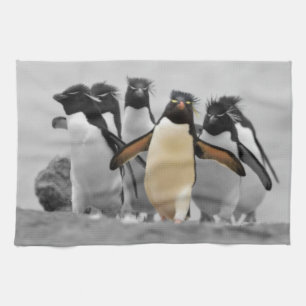 Rockhopper Penguins Kitchen Towel