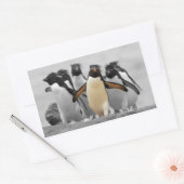 Rockhopper Penguins Sticker (Envelope)