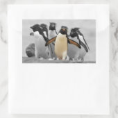 Rockhopper Penguins Sticker (Bag)