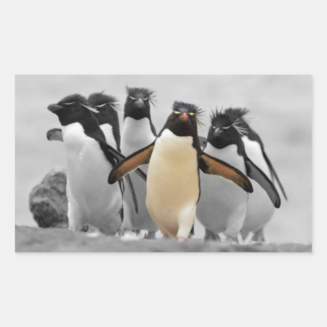 Rockhopper Penguins Sticker (Front)