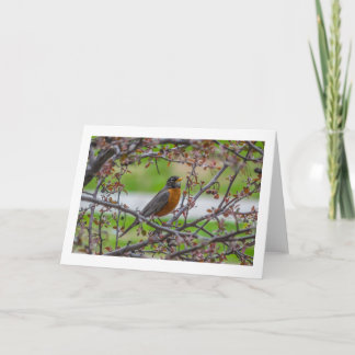 "Rockin'" blank folded greeting card