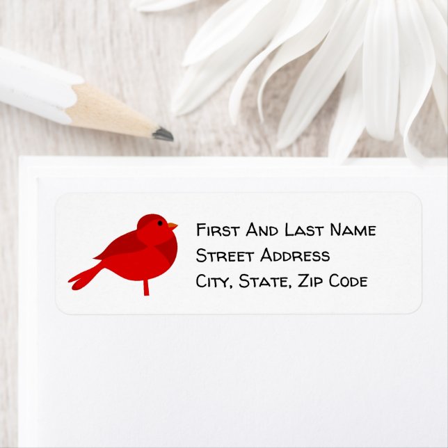 Rockin’ Robin, Cute Red Cardinal Nature Cartoon (Insitu)