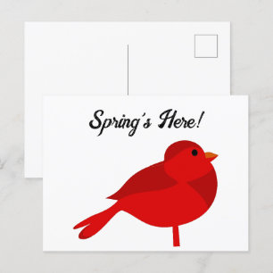 Rockin Robin Red Cardinal Cute Kids Nature Cartoon Postcard