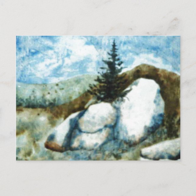 "Rocks and Pine" Country Roads Postcard (Front)