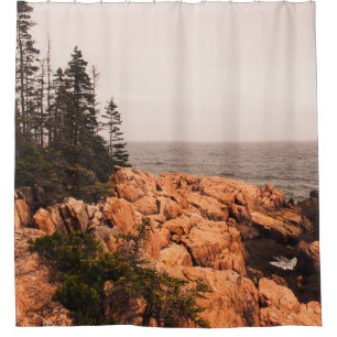 Rocks and trees on the Maine shoreline in Acadia N