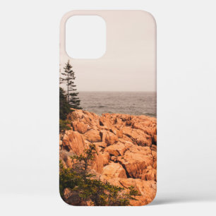 Rocks and trees on the Maine shoreline in Acadia N iPhone 12 Case