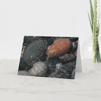 rocks and water card