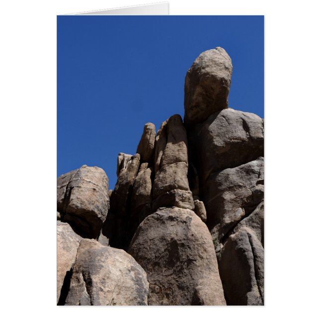 Rocks at Joshua Tree National Park (Front)