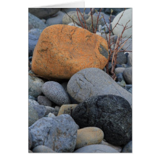 Rocks at Redwood Forest