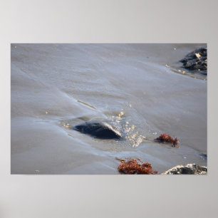 Rocks in the Ocean Poster