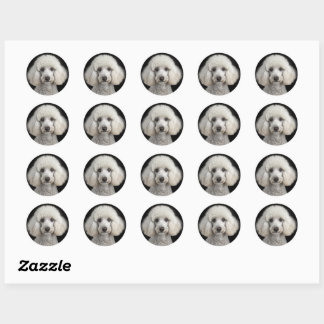 Rocky Classic Round Sticker