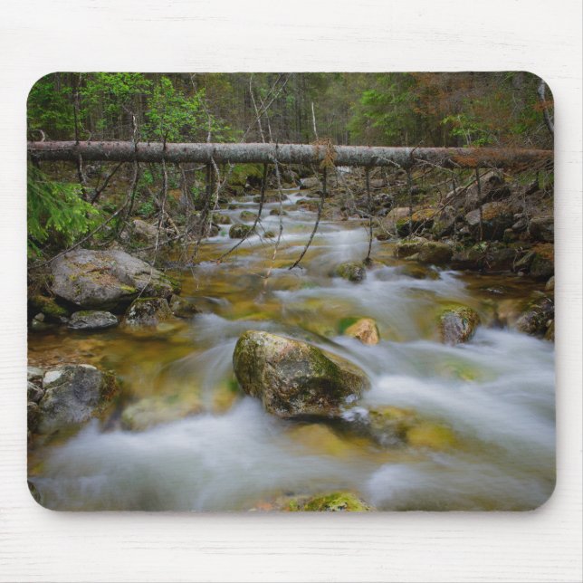 Rocky forest creek mousepad (Front)