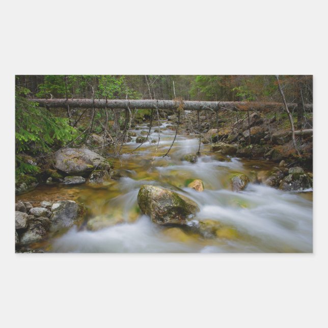 Rocky forest creek rectangular sticker (Front)