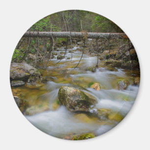 Rocky forest creek round magnet