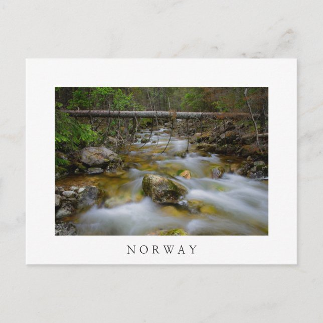 Rocky forest creek white text postcard (Front)