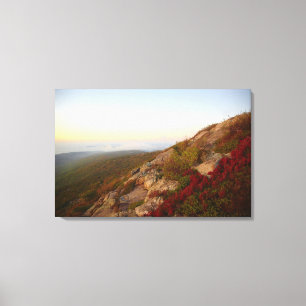 Rocky Hillside, Red Flowers, Acadia National Park Canvas Print