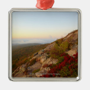 Rocky Hillside, Red Flowers, Acadia National Park Metal Ornament