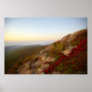 Rocky Hillside, Red Flowers, Acadia National Park Poster