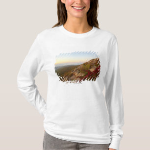 Rocky Hillside, Red Flowers, Acadia National Park T-Shirt
