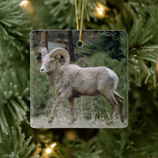 Rocky Mountain Big Horn Sheep Ornement en céramiqu (Arbre)
