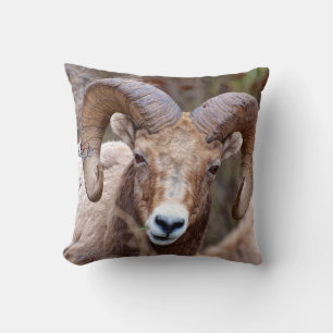 Rocky Mountain Bighorn Sheep Throw Pillow