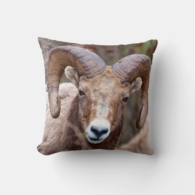Rocky Mountain Bighorn Sheep Throw Pillow (Front)