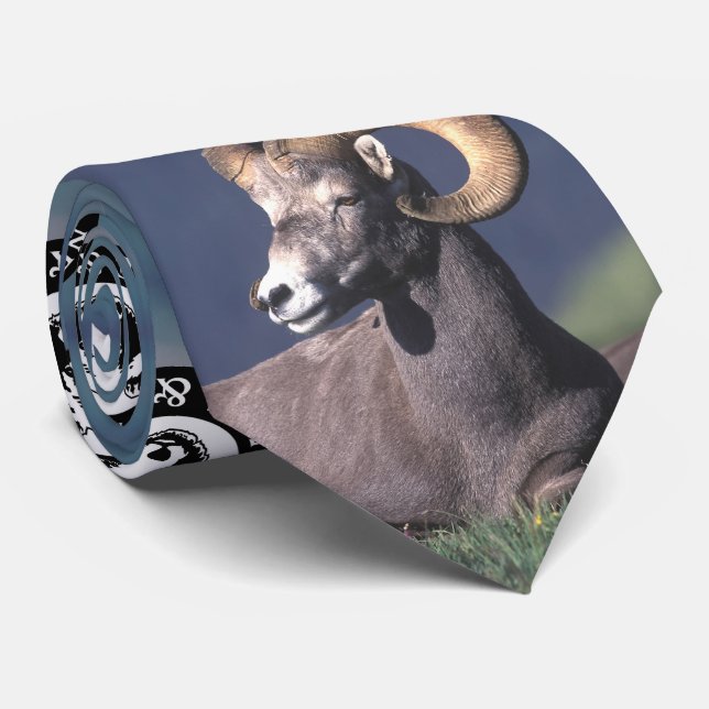 Rocky Mountain Bighorn Sheep Tie (Rolled)