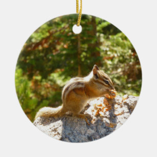 Rocky Mountain Chipmunk Ceramic Ornament