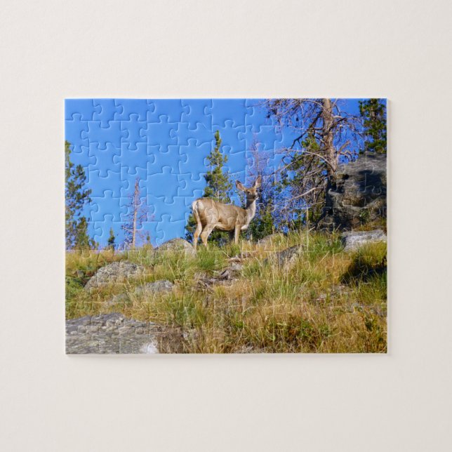 Rocky Mountain Deer Jigsaw Puzzle (Horizontal)